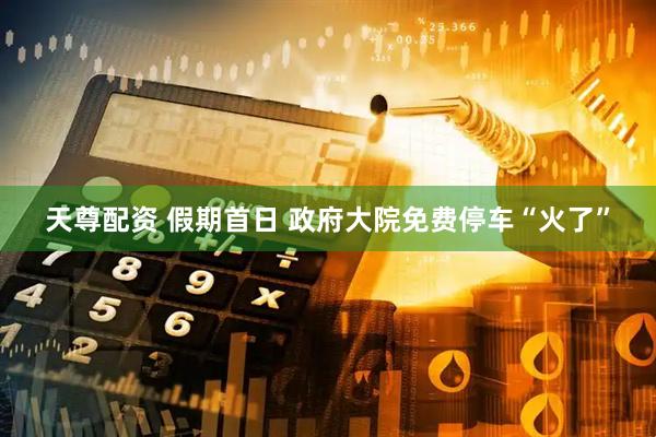 天尊配资 假期首日&#32;政府大院免费停车“火了”