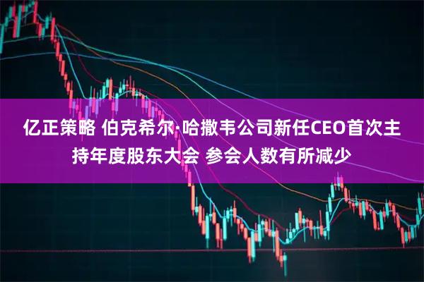 亿正策略 伯克希尔·哈撒韦公司新任CEO首次主持年度股东大会 参会人数有所减少